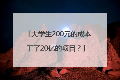 大学生200元的成本干了20亿的项目？