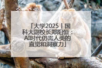 大学2025丨国科大副校长郑阳恒：AI时代仍需人类的直觉和洞察力