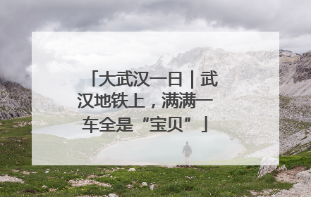 大武汉一日｜武汉地铁上，满满一车全是“宝贝”