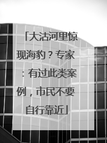 大沽河里惊现海豹？专家：有过此类案例，市民不要自行靠近