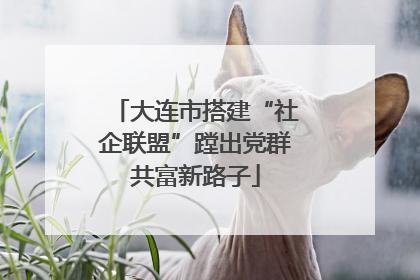 大连市搭建“社企联盟”蹚出党群共富新路子