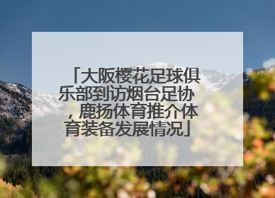 大阪樱花足球俱乐部到访烟台足协，鹿扬体育推介体育装备发展情况