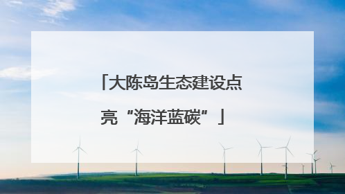 大陈岛生态建设点亮“海洋蓝碳”