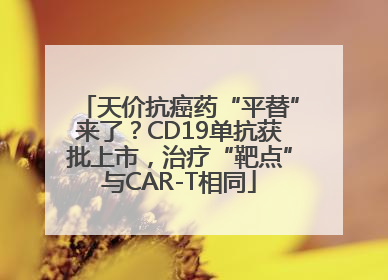 天价抗癌药“平替”来了？CD19单抗获批上市，治疗“靶点”与CAR-T相同