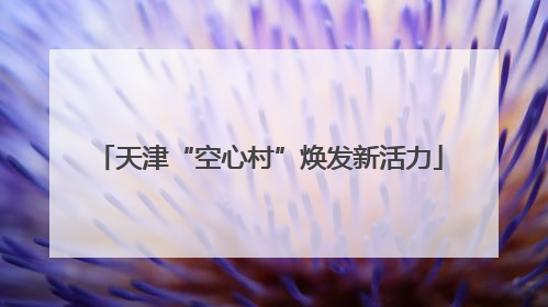天津“空心村”焕发新活力