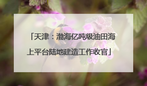 天津：渤海亿吨级油田海上平台陆地建造工作收官