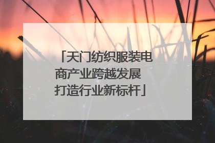 天门纺织服装电商产业跨越发展 打造行业新标杆