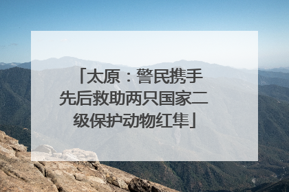 太原：警民携手 先后救助两只国家二级保护动物红隼