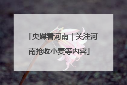 央媒看河南｜关注河南抢收小麦等内容