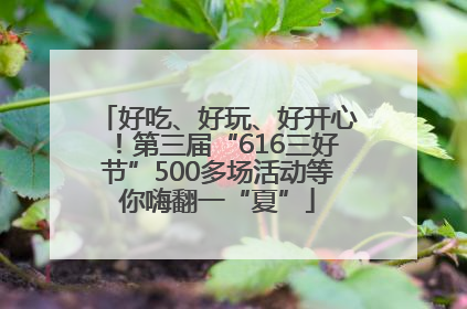 好吃、好玩、好开心！第三届“616三好节”500多场活动等你嗨翻一“夏”
