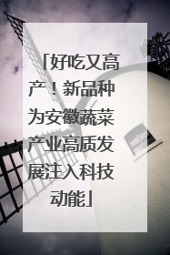 好吃又高产！新品种为安徽蔬菜产业高质发展注入科技动能