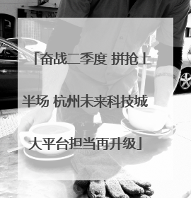 奋战二季度 拼抢上半场 杭州未来科技城大平台担当再升级