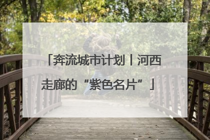 奔流城市计划丨河西走廊的“紫色名片”