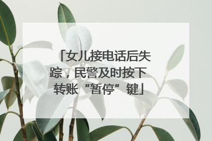 女儿接电话后失踪，民警及时按下转账“暂停”键