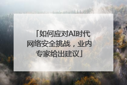 如何应对AI时代网络安全挑战，业内专家给出建议
