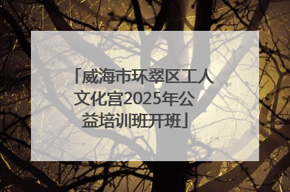威海市环翠区工人文化宫2025年公益培训班开班