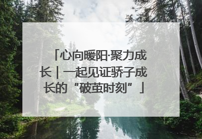 心向暖阳·聚力成长｜一起见证骄子成长的“破茧时刻”