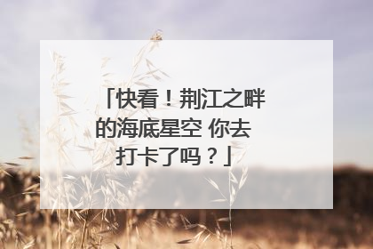 快看！荆江之畔的海底星空 你去打卡了吗？