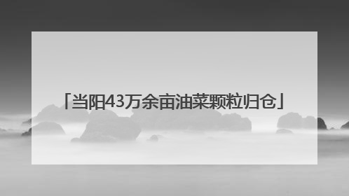 当阳43万余亩油菜颗粒归仓