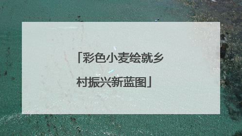 彩色小麦绘就乡村振兴新蓝图