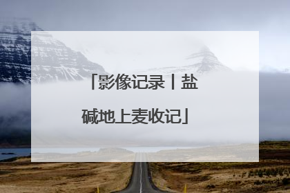 影像记录丨盐碱地上麦收记