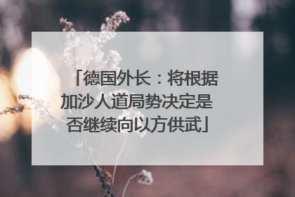 德国外长：将根据加沙人道局势决定是否继续向以方供武