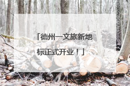 德州一文旅新地标正式开业！
