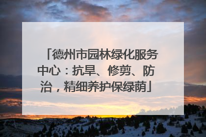 德州市园林绿化服务中心：抗旱、修剪、防治，精细养护保绿荫