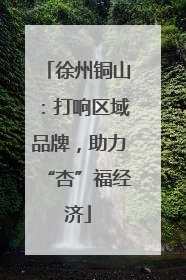 徐州铜山：打响区域品牌，助力“杏”福经济