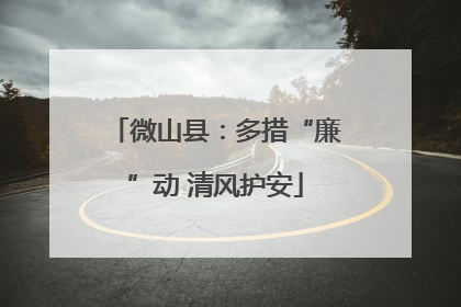 微山县：多措“廉”动 清风护安