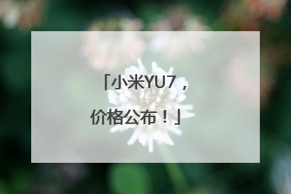 小米YU7，价格公布！