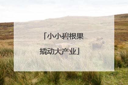 小小碧根果撬动大产业