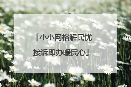小小网格解民忧 接诉即办暖民心