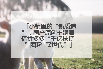 小镇里的“新质造”，国产原创主题服借拼多多“千亿扶持”圈粉“Z世代”