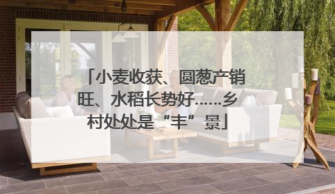 小麦收获、圆葱产销旺、水稻长势好……乡村处处是“丰”景