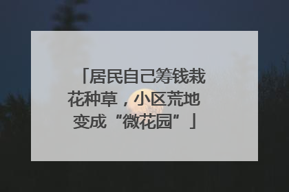 居民自己筹钱栽花种草，小区荒地变成“微花园”