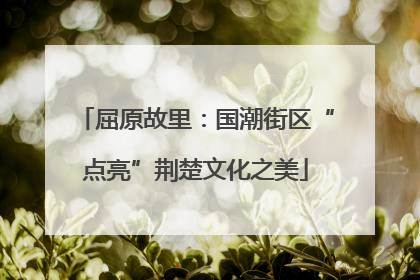 屈原故里：国潮街区“点亮”荆楚文化之美