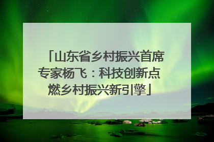 山东省乡村振兴首席专家杨飞：科技创新点燃乡村振兴新引擎