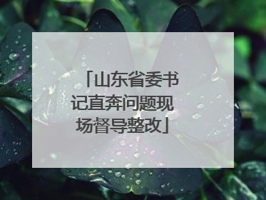 山东省委书记直奔问题现场督导整改