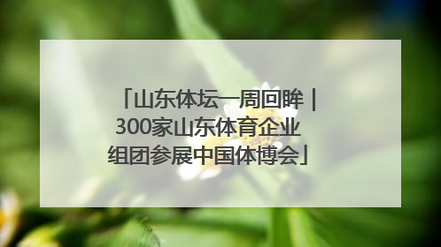 山东体坛一周回眸｜300家山东体育企业组团参展中国体博会