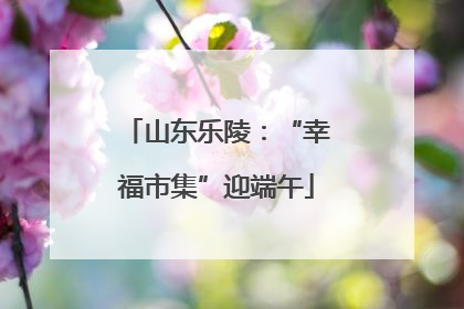 山东乐陵：“幸福市集”迎端午