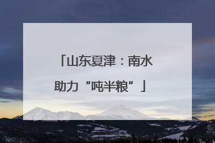 山东夏津：南水助力“吨半粮”
