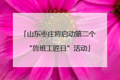 山东枣庄将启动第二个“鲁班工匠日”活动