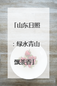 山东日照：绿水青山飘茶香
