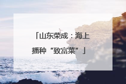 山东荣成：海上播种“致富菜”