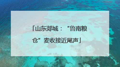 山东郯城：“鲁南粮仓”麦收接近尾声