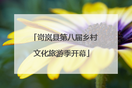 岢岚县第八届乡村文化旅游季开幕