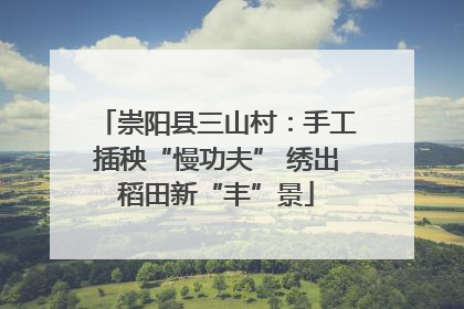 崇阳县三山村：手工插秧“慢功夫” 绣出稻田新“丰”景