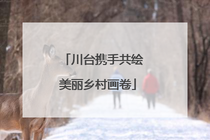 川台携手共绘美丽乡村画卷