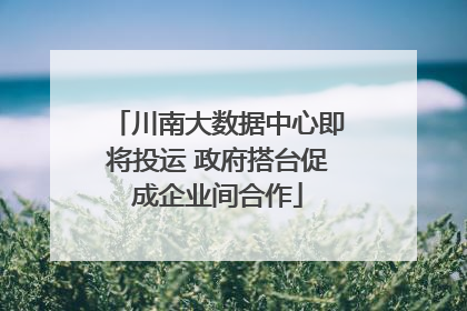 川南大数据中心即将投运 政府搭台促成企业间合作